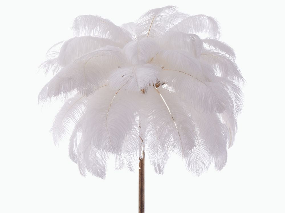 Dion Ostrich Feather Floor Lamp