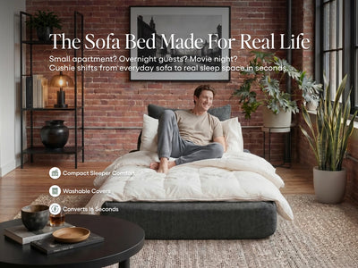 Sleeper Sofa / Sleeper Chair / Charcoal