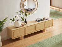 Irene TV Unit