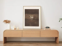 Odeon TV Unit